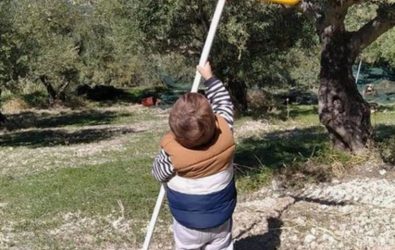 Viral o 2χρονος Στέλιος από την Κρήτη που μαζεύει ελιές και αυγά (ΒΙΝΤΕΟ)