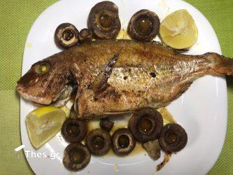 Φαγκρί με μανιτάρια στο φούρνο (ΒΙΝΤΕΟ)