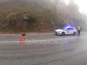 Αποκολλήθηκαν και έπεσαν στον δρόμο δύο κομμάτια βράχου στα Μετέωρα