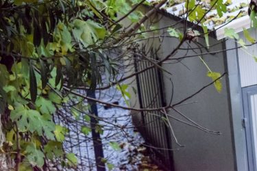 Σέρρες: Ο εισαγγελέας διέταξε την άμεση διερεύνηση ευθυνών για την φονική έκρηξη στο σχολείο