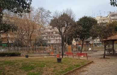 Δήμος Θεσσαλονίκης: Συνεχίζονται με εντατικούς ρυθμούς οι δενδροφυτεύσεις (ΦΩΤΟ)