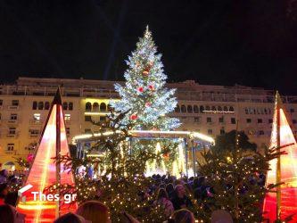 Θεσσαλονίκη δέντρο Αριστοτέλους