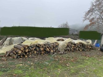 Θεσσαλονίκη: Στην υπόθεση θανάτου του 51χρονου από την Αρέθουσα εμπλέκεται ο 59χρονος που συνελήφθη για παράνομη υλοτομία