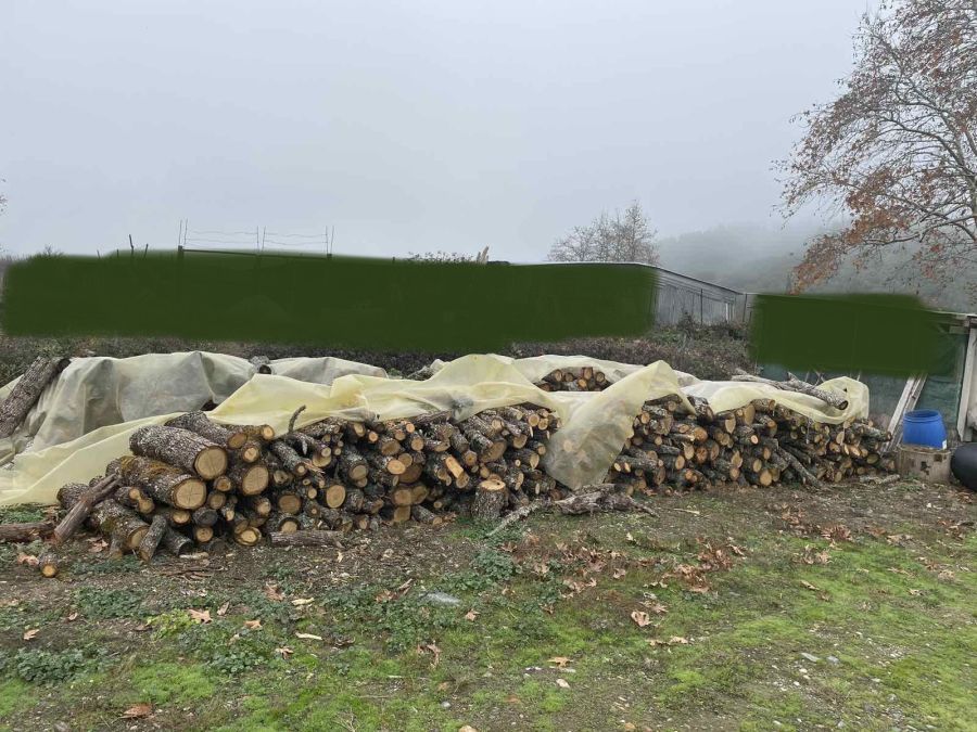 Δήμος Βόλβης: Τους τσάκωσαν για παράνομη υλοτόμηση ξυλείας πολλών τόνων