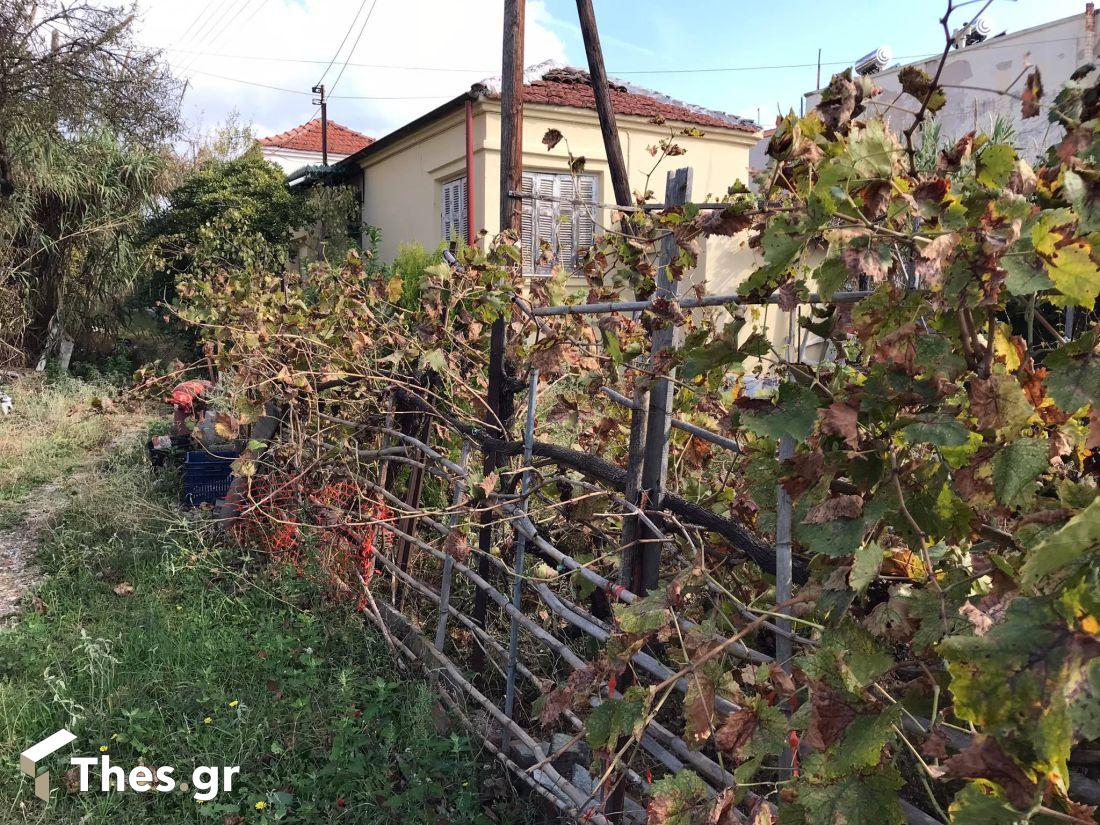 Πυλαία, Στρέψα ή Καπουτζήδα παλιές γειτονιές παλιός οικισμός Θεσσαλονίκη