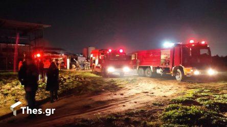 Συναγερμός στην Κατερίνη: Ξέσπασε μεγάλη φωτιά σε δασική έκταση