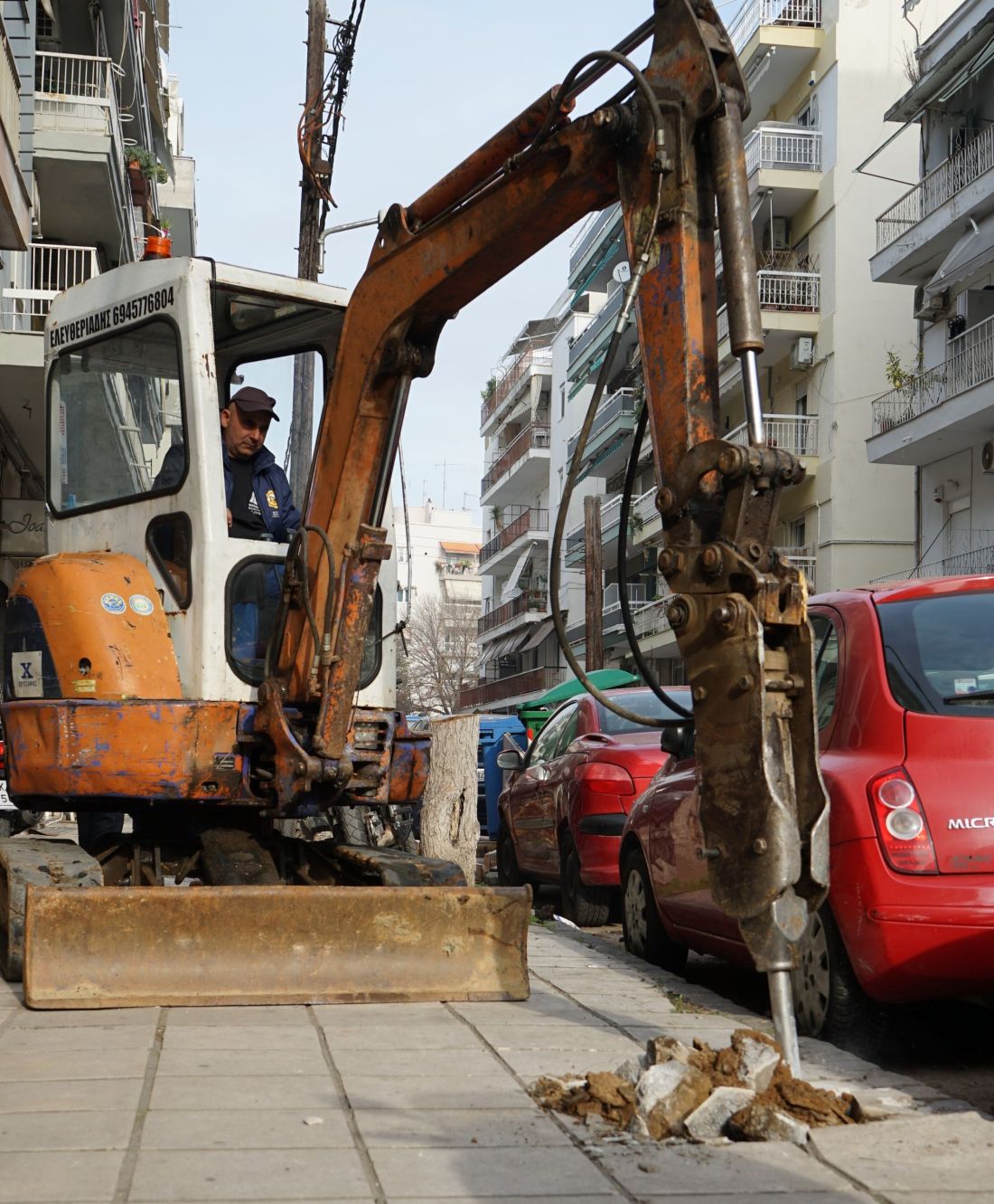 Δήμος Θεσσαλονίκης δεντροφύτευση