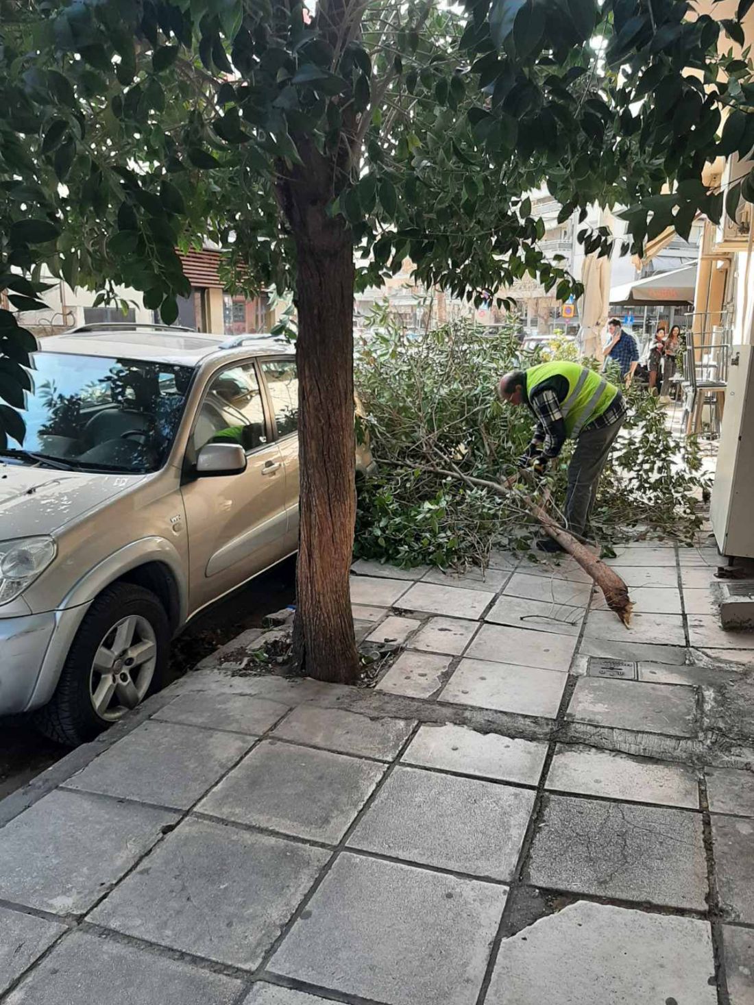 δήμος Θεσσαλονίκης κακοκαιρία πτώσεις δέντρων
