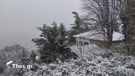 Αρναούτογλου: Μπαίνει με χιόνια και τσουχτερό κρύο ο Φεβρουάριος – Η πρόγνωση του καιρού (ΒΙΝΤΕΟ)