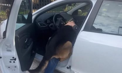 Θεσσαλονίκη: Βρήκε τον σκύλο του μετά από πέντε χρόνια και ανήμερα των γενεθλίων του! (ΒΙΝΤΕΟ)