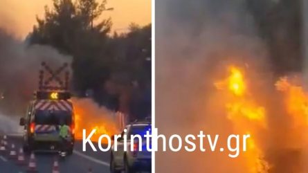 Στις φλόγες “τυλίχτηκε” αυτοκίνητο στην Αθηνών-Κορίνθου (ΒΙΝΤΕΟ)