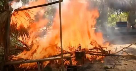 Survivor All Star: Πανικός στον Αγιο Δομίνικο – Πήρε φωτιά η καλύβα των “μπλε” (ΒΙΝΤΕΟ)