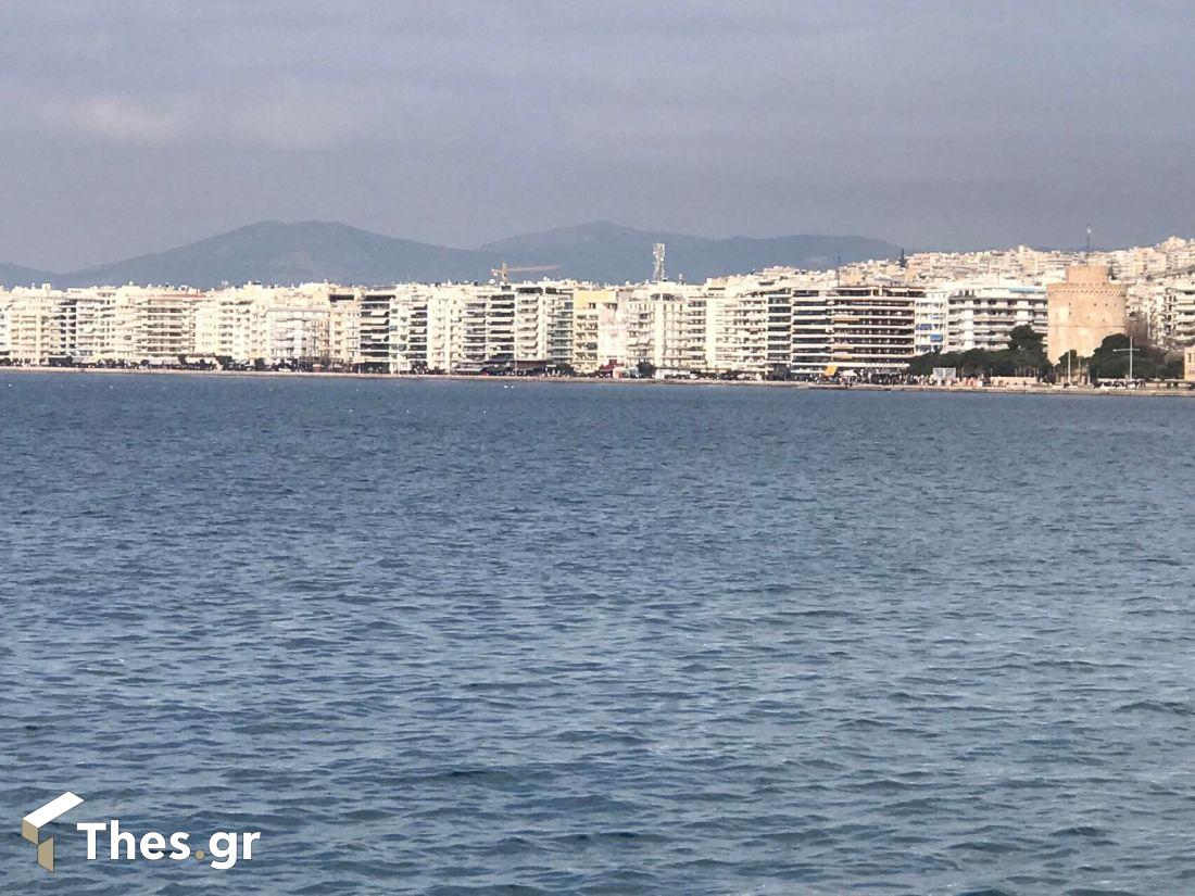 Θερμαϊκός δελφίνια Θεσσαλονίκη