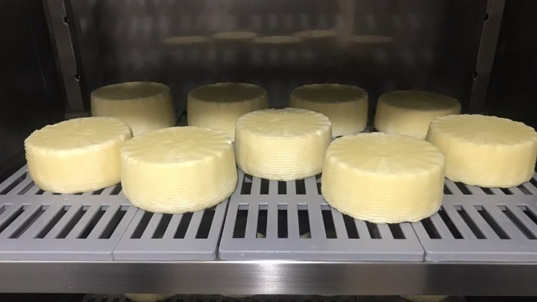 Τυρί από μη παστεριωμένο γάλα παρήγαγε η Αμερικανική Γεωργική Σχολή