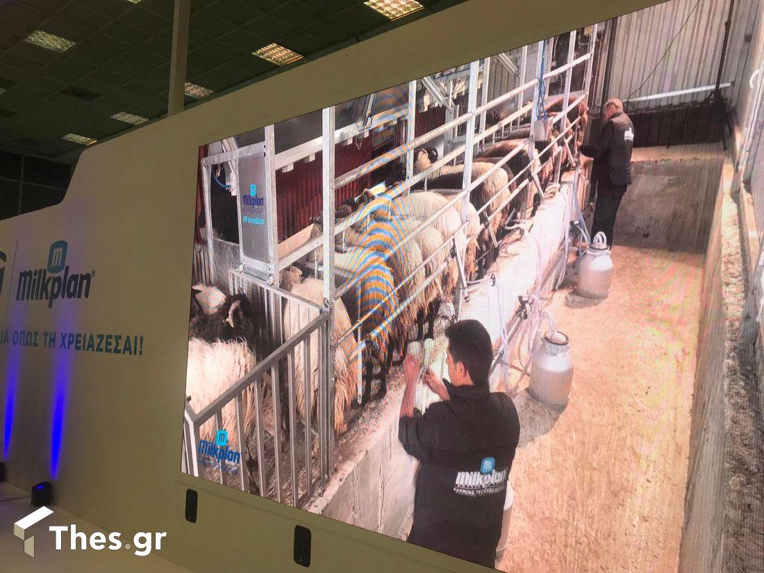 Milkplan 12η Zootechnia γιορτή 25 χρόνια γενέθλια εκδήλωση