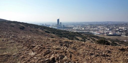 Θεσσαλονίκη: Στα σκαριά περιαστικό δάσος αναψυχής με 300000 δέντρα