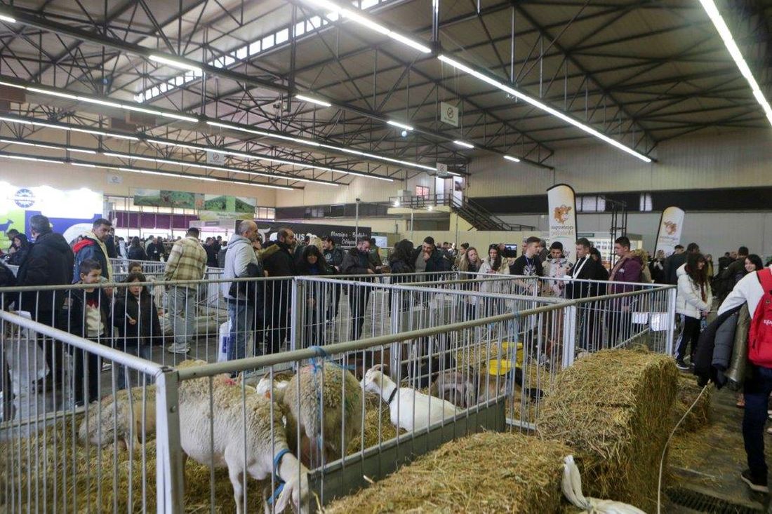 Zootechnia 2023