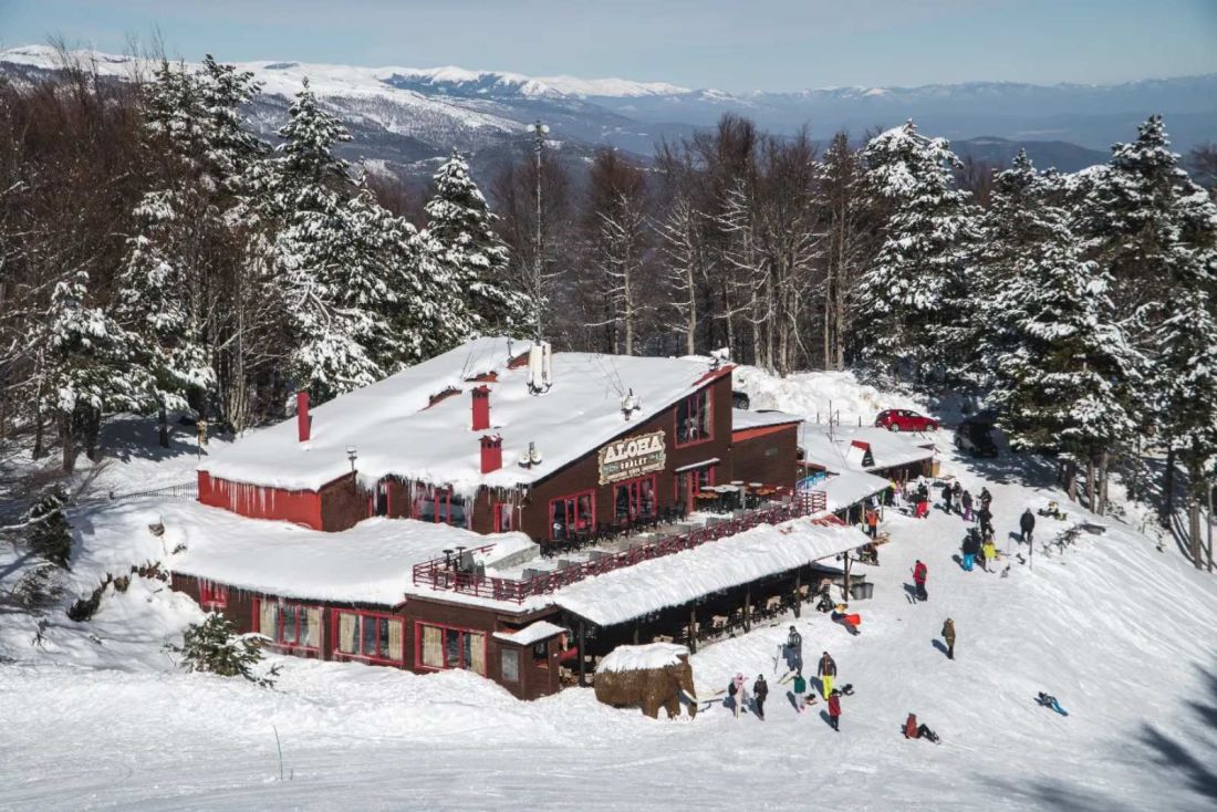 ALOHA CHALET Ελατοχώρι Χιονοδρομικό Κέντρο Ελατοχωρίου 