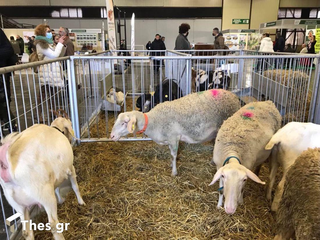 Φάρμα Γενίτσαρη Zootechnia 2023