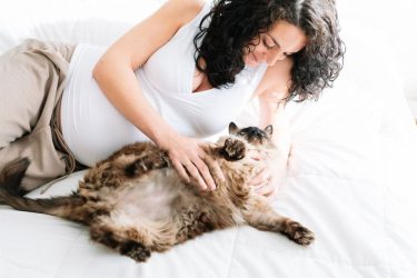 Εγκυμοσύνη και γάτα: Πως θα διαχειριστείς την κατάσταση
