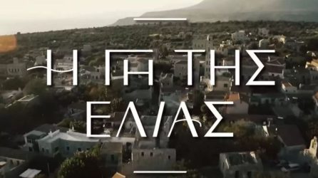 Γη της Ελιάς: Τρομοκρατημένη η Θεοδώρα από την επίθεση που δέχθηκε