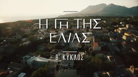 Η Γη της Ελιάς: O Φίλιππος κάνει ερωτική εξομολόγηση στη Βασιλική