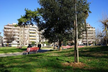 Θεσσαλονίκη: Αλλάζει όψη η οδός Κρήτης – Αναβαθμίζεται το πράσινο με 250 νέες δενδροφυτεύσεις