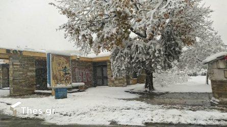 Η κακοκαιρία «Bora» φέρνει σφοδρές χιονοπτώσεις – Χάρτης του Meteo με τις περιοχές που θα «χτυπήσει»