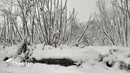 Βόλος χιόνια καιρός κακοκαιρία