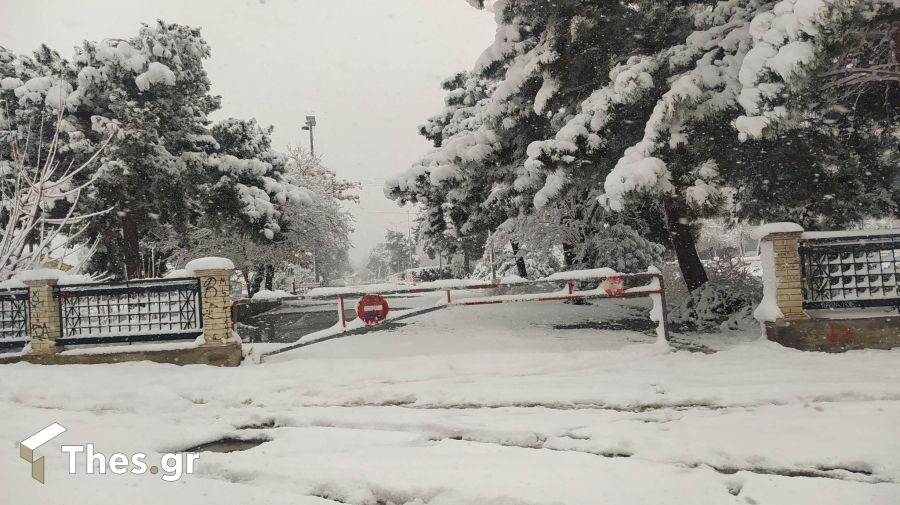 Βόλος χιόνια 