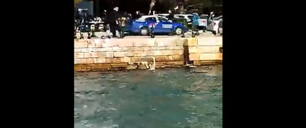 Θεσσαλονίκη: Τουρίστας βούτηξε και κολύμπησε στον Θερμαϊκό σαν να είναι καλοκαίρι (ΒΙΝΤΕΟ)