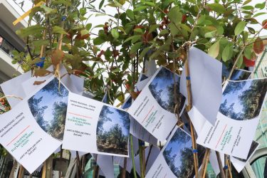 Με ένα δέντρο σε κάθε σχολείο τίμησε ο δήμος Νεάπολης-Συκεών την Παγκόσμια Ημέρα Δασών