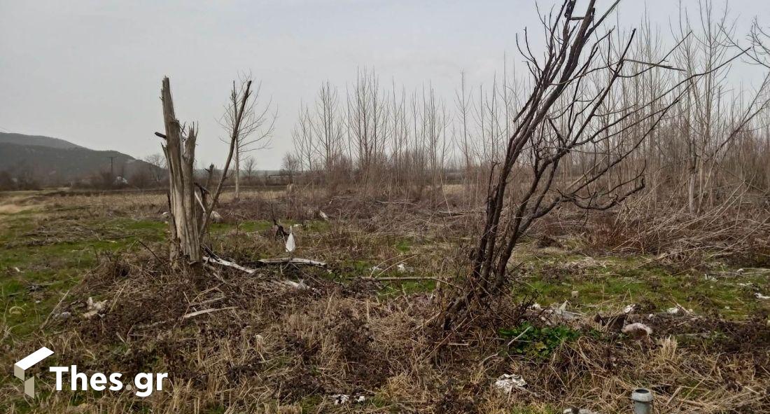 συντρίμμια αεροπλάνο Καβάλα κάμπος Φιλίππων Αντιφίλιπποι Παλαιοχώρι πτώση αεροσκάφους Παγγαίο αποκαϊδια