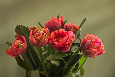 Γιορτή σήμερα Πέμπτη 30 Μαΐου: Σε ποιους να δώσετε ευχές