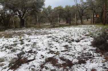 Χαλκιδική: Λευκό το τοπίο από το χαλάζι στη Σιθωνία (ΒΙΝΤΕΟ)