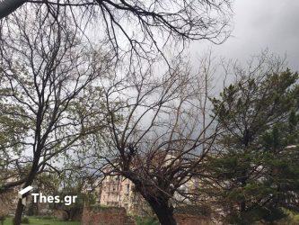 Προειδοποιεί για τον καιρό ο Καλλιάνος – «Θα “μυρίσει” περισσότερο χειμώνας τις επόμενες ημέρες»
