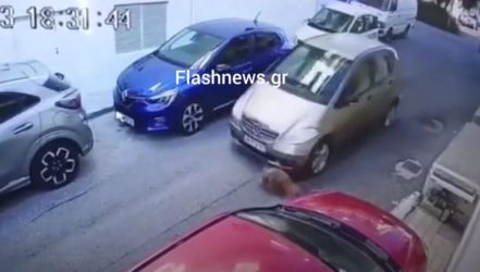 Ελεύθερη με όρους η γυναίκα που πάτησε σκύλο στη μέση του δρόμου