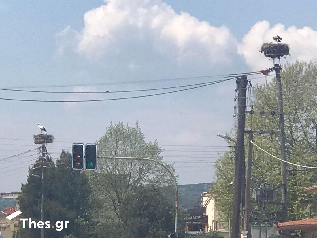 χωριό των πελαργών Νυμφόπετρα πελαργοί