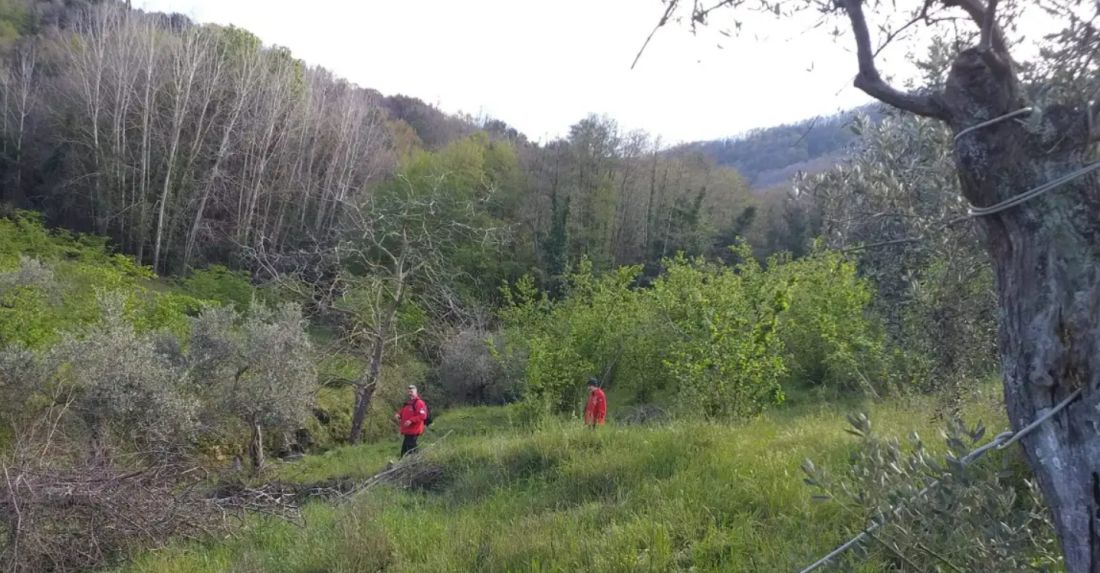 Αγιο Ορος μοναχός