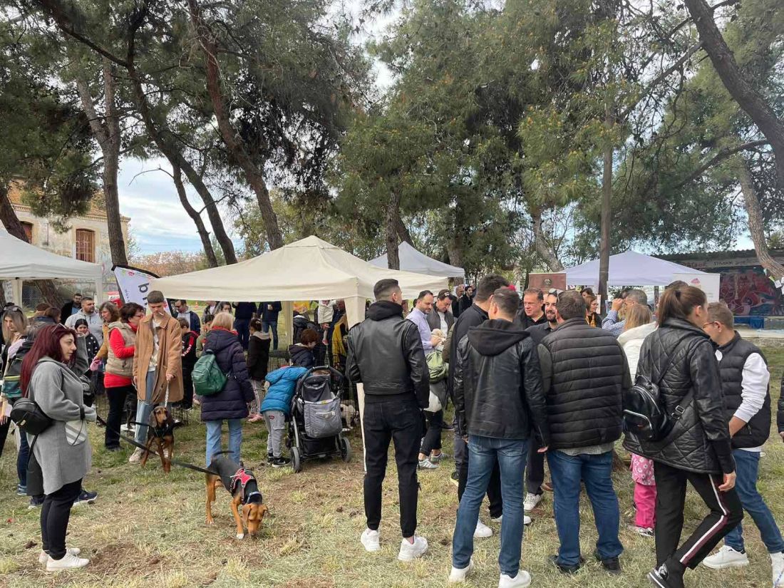 γιορτή υιοθεσίας αδέσποτων ζώων Καλαμαριά