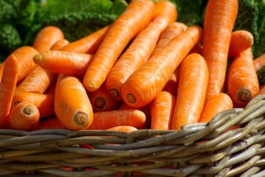 Καρότα: Γιατί πρέπει να τα βάλουμε στην διατροφή μας