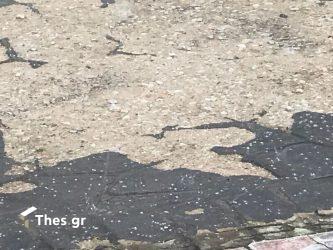 χαλάζι Φίλυρο Θεσσαλονίκης