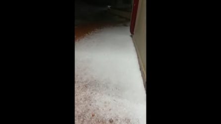 Ισχυρό χαλάζι έπληξε την Κοζάνη – Οι αυλές γέμισαν παγάκια (ΒΙΝΤΕΟ)