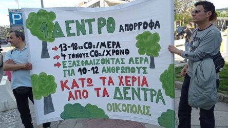 Θεσσαλονίκη: Διαμαρτυρία για την κοπή των δέντρων (ΦΩΤΟ)
