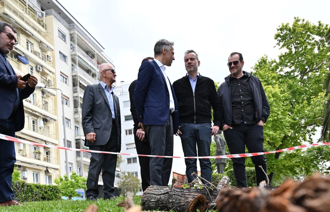Τσιμισκή δέντρα Θεσσαλονίκη
