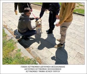Θεσσαλονίκη αστυνομικοί έλεγχοι κατοικίδια
