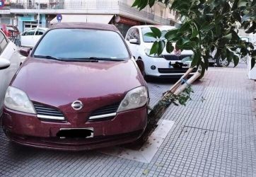 Δήμος Θεσσαλονίκης: Μήνυση κατά ασυνείδητου οδηγού που πάρκαρε το αυτοκίνητό του πάνω σε κορμό δέντρου