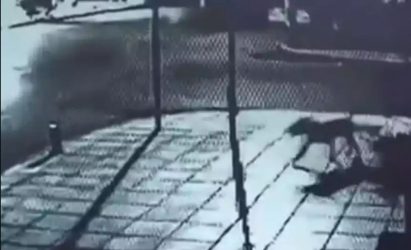 Θεσσαλονίκη: Σοκάρει βίντεο με 27χρονο που μαχαιρώνει θανάσιμα αδέσποτο σκύλο