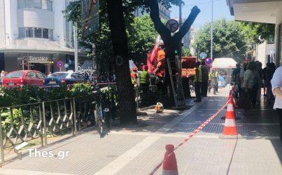Θεσσαλονίκη: Συνεχίζεται η κοπή δέντρων στην Τσιμισκή (ΦΩΤΟ)