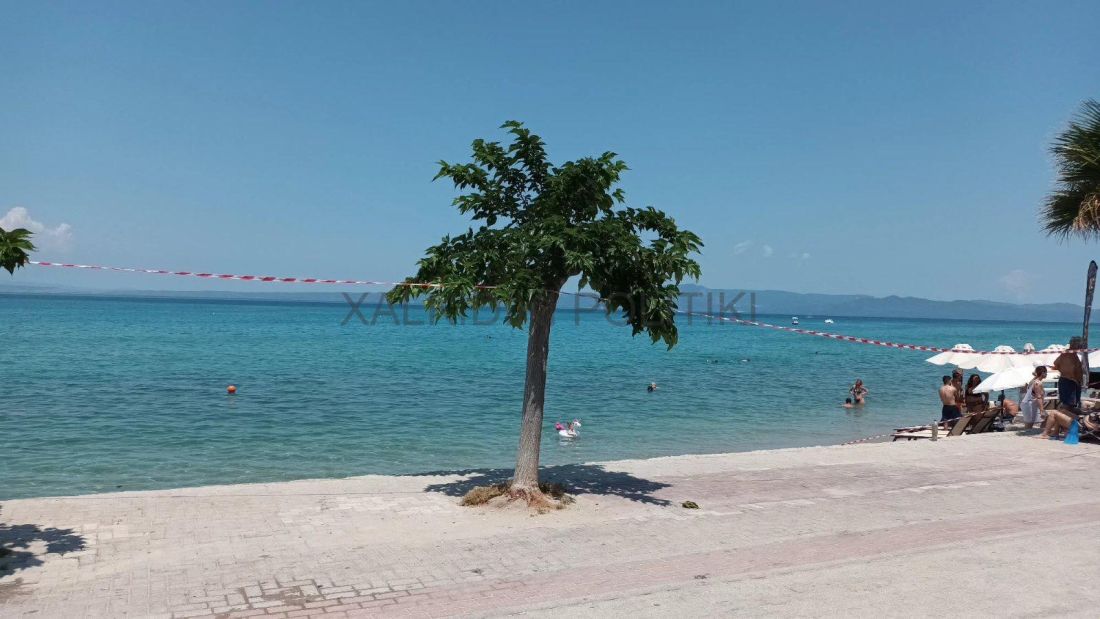 Χαλκιδική χειροβομβίδα 